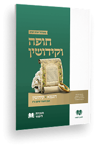 חוברת מטלות לדוגמא