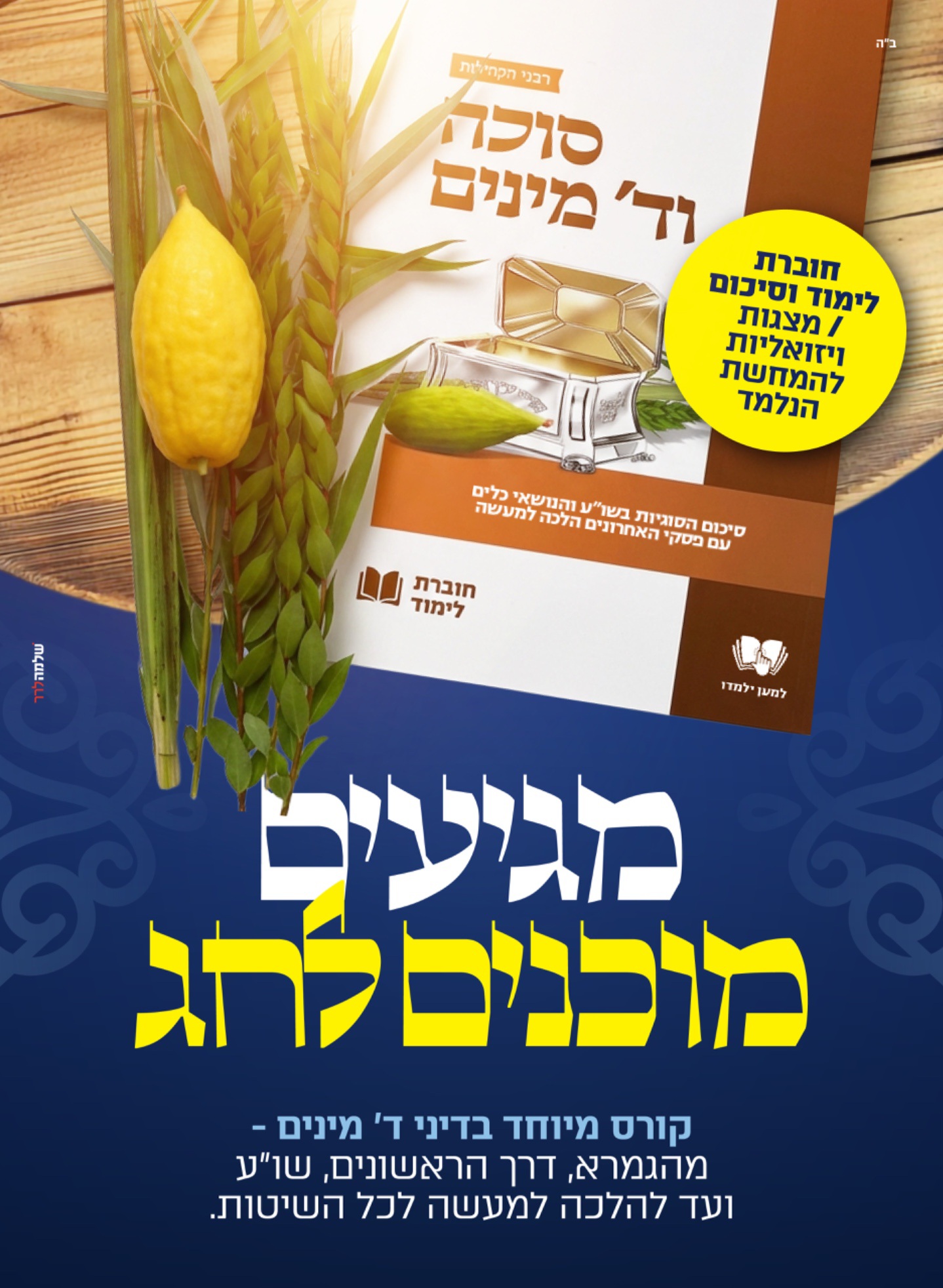מגיעים מוכנים לחג - סוכה וד' מינים